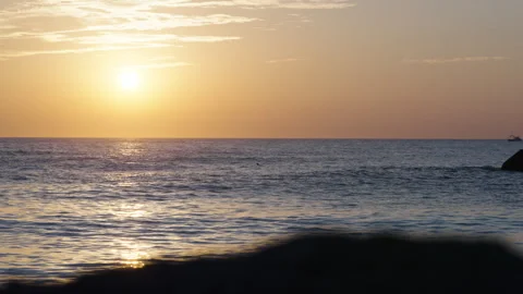 Ocean sunrise dolphin Stock Footage 264630267