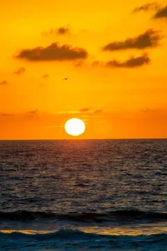 Ocean Sunset on the beach Stock Photos