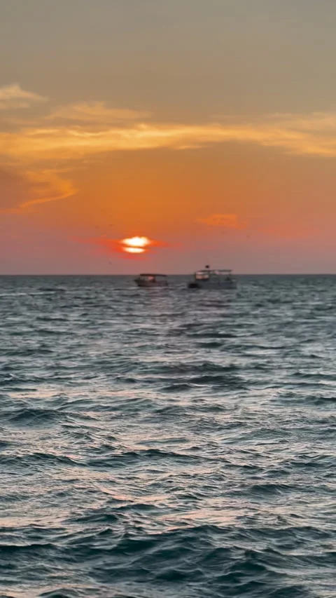 Ocean Sunset with Birds Flying 스톡 동영상 335482659