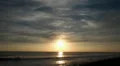 Ocean sunset with flying bird HD Footage