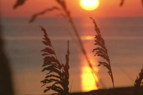 Ocean Sunset Stock Footage 335286