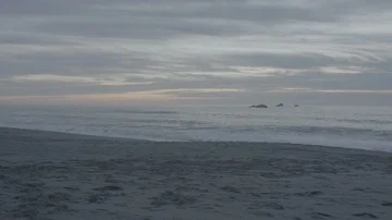 Ocean at Sunset - Log 스톡 동영상 85491574