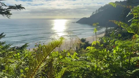 Ocean Sunset Over Crescent Beach at Ecola State Park Oregon Stock Footage 341993036