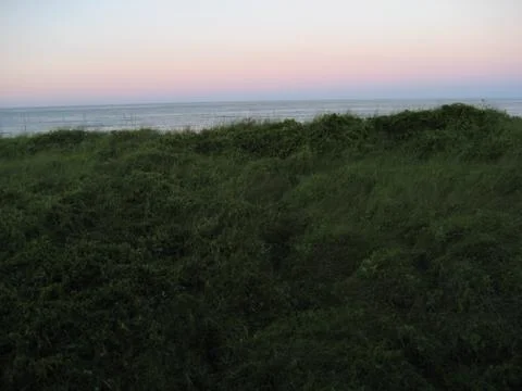 Ocean sunset over the dunes 写真素材