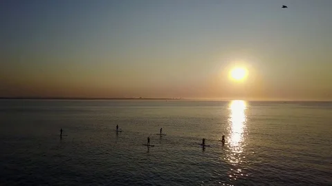 Ocean, Sunset, paddleboarders Stock Footage 80844168