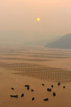 Ocean sunset Stock Photos