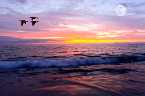 Ocean Sunset Stock Photos