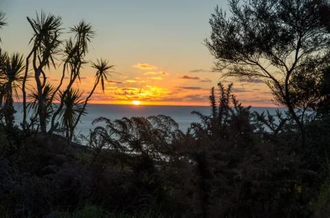 Ocean Sunset Stock Photos