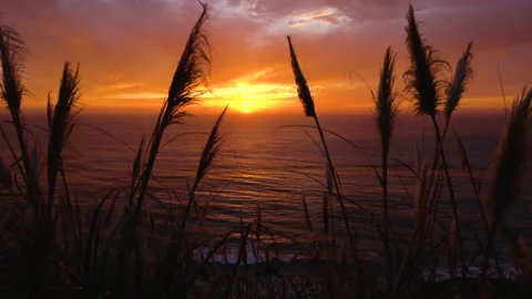 Ocean sunset. Sun falling down the Pacific Ocean Stock Footage 221151182