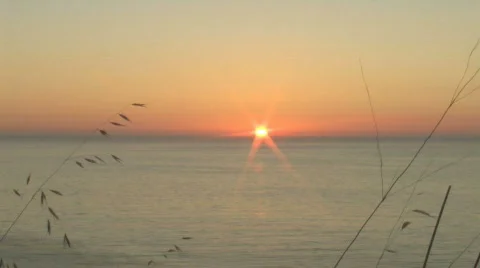 Ocean Sunset Through Grass 2 Stock Footage 821842