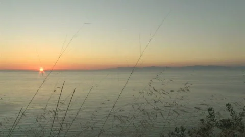 Ocean Sunset Through Grass 3 Stock Footage 821846