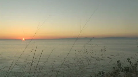 Ocean Sunset Through Grass 4 Stock Footage 821850