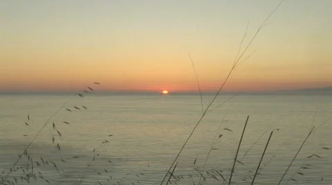 Ocean Sunset Through Grass 5 Stock Footage 821853