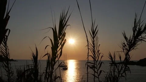 Ocean sunset through reeds Vídeos de archivo 79026290