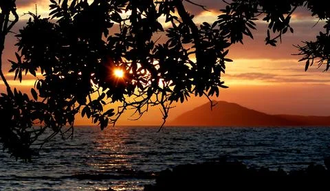 Ocean sunset through trees 스톡 사진