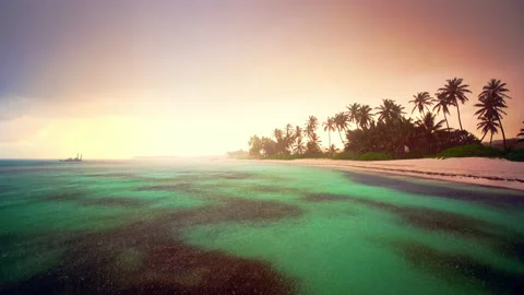 Ocean sunset,Seamless never ending loop footage.Raining, exotic beach palm trees 動画素材 170092580
