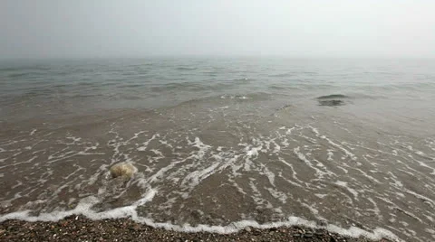 Ocean surf in fog Stock Footage 26183207