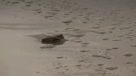 The ocean surf plays with a rock Stock Footage 625510