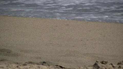 Ocean Surf Rolling onto Beach Stock Footage 106720142