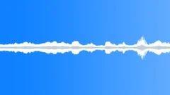 Ocean surf seagulls 03 loop Sound Effect