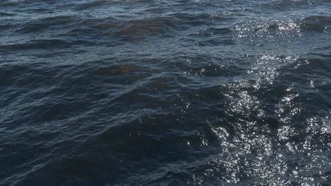Ocean Surface 01 Loop Stock Footage 231561714