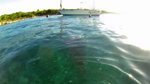 Ocean Surface and Sea Turtle Video stock 42471035