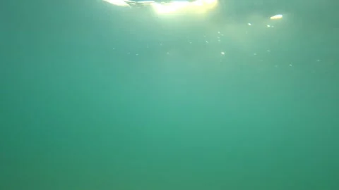 Ocean surface and underwater views during sunrise Stock Footage 306739794