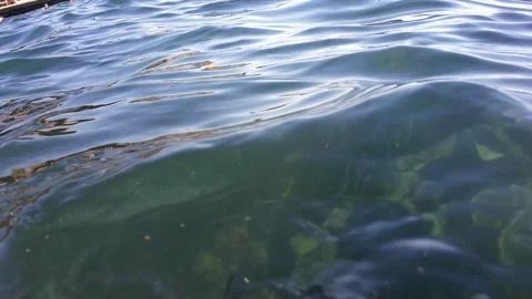 Ocean surface Stock Footage 307197691