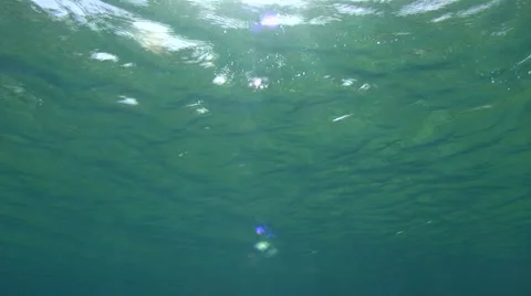 Ocean surface to sea floor Stock Footage 2512107