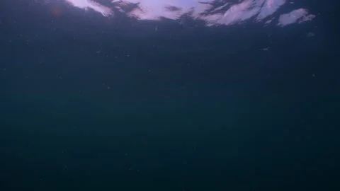 Ocean surface seen from underwater Stock Footage 282525039