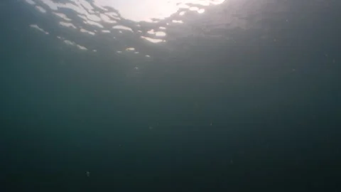 Ocean surface seen from underwater - late morning Stock Footage 282524564