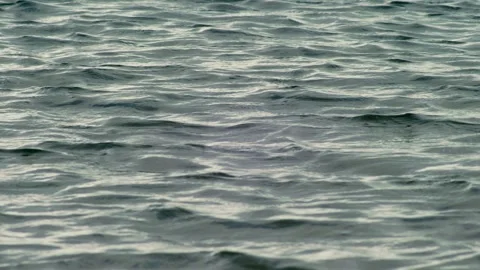 Ocean Surface Texture with Gentle Water Ripples and Subtle Motion 動画素材 337612707