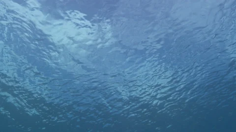 Ocean surface from underwater Stock Footage 148325076