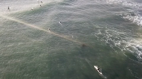 Ocean Surfing Stock Footage 101891462