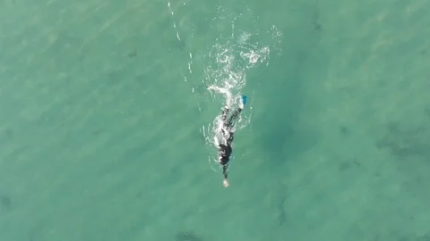 Ocean swimming Video stock 106425812