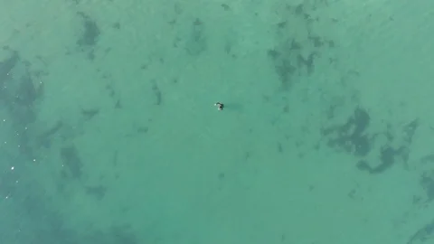 Ocean swimming Video stock 106425877