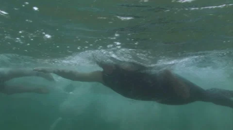 Ocean Swimming Racing and Training Stock Footage