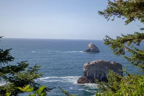 The ocean through trees. 写真素材