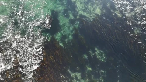 Ocean tidal current. E fjord Stock Footage 167238482