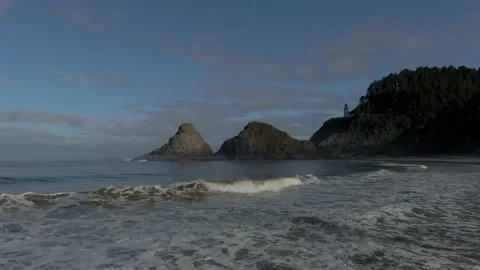 Ocean Tide with Curious Seagull Video stock 141634986