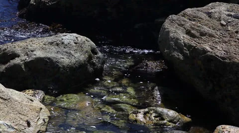 Ocean Tide Video stock 25454581