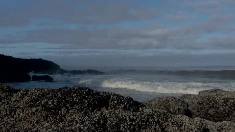 Ocean Tide Video stock 141632661