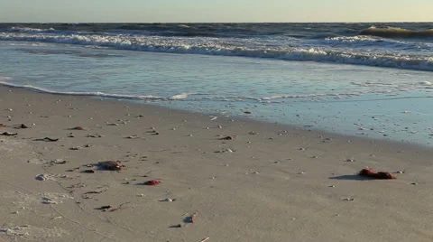 Ocean Tide,at magic hour Stock-Footage 48514103