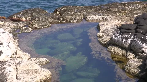 Ocean Tide Pool Stock Footage 6732114