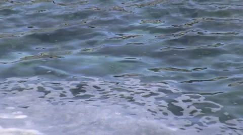 Ocean Tide Pool Stock Footage 6732186