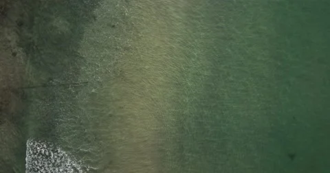 Ocean Top Down Clear Water Shark 5K Stock Footage 230488233