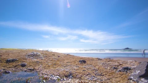 The Ocean from on Top of a Rock Stock Footage 91050703