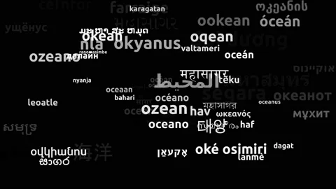 Ocean Translated in 66 Worldwide Languages Endless Looping 3d Zooming Wordclo Video stock 145199975