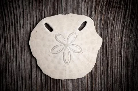 Ocean treashes Foto stock