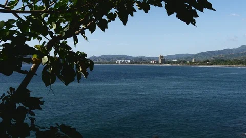 Ocean with tree in foreground Stock Footage 126658853